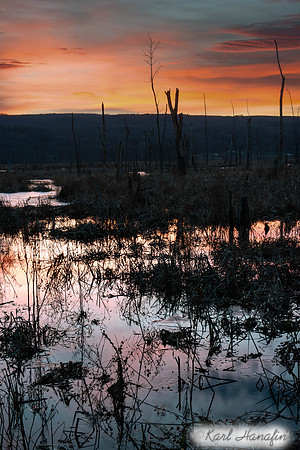 DSC_8418-Edit