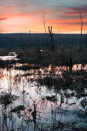 DSC_8418-Edit