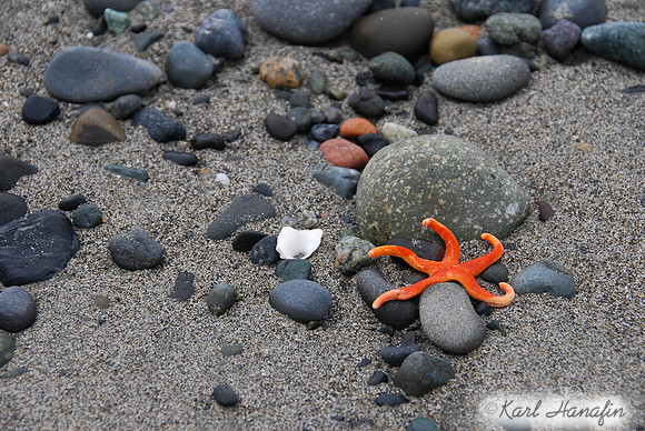 DSC_1260