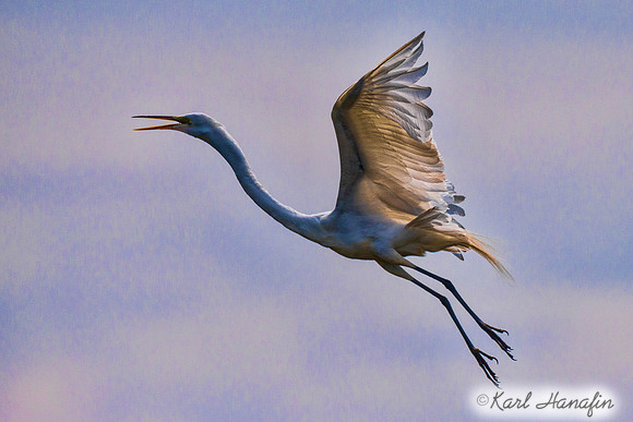 DSC_5602-Edit